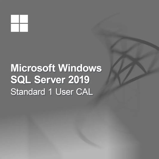Microsoft SQL Server 2019 Standard 1 uživatelská CAL
